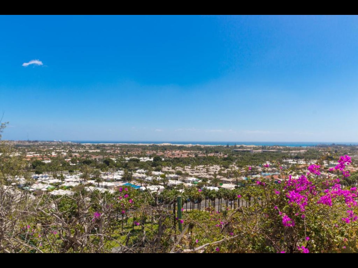 Bungalows Vista Oasis